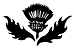 Thistle